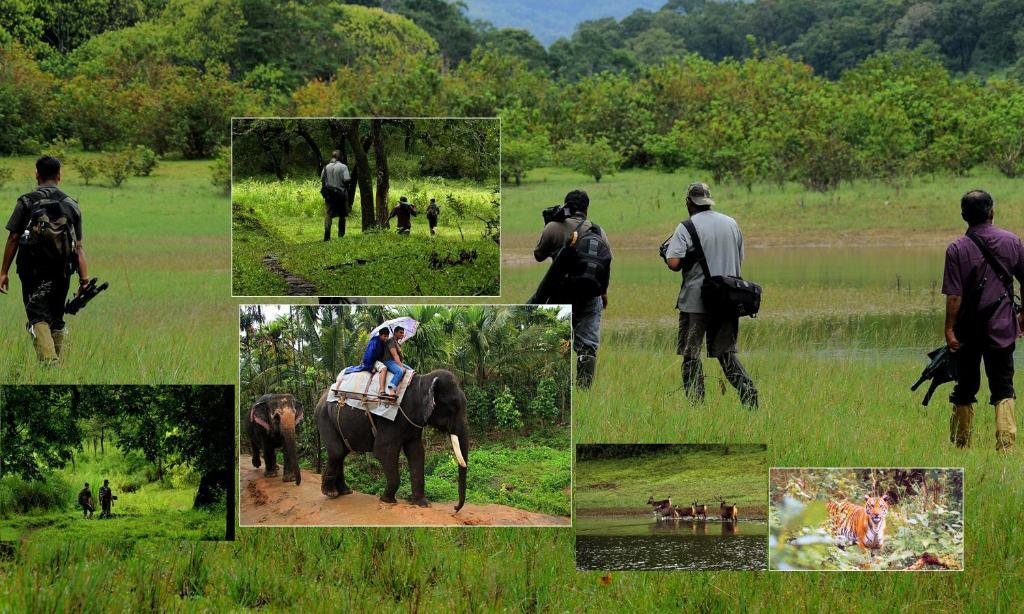 Jungle Park Resorts Thekkady Exterior foto