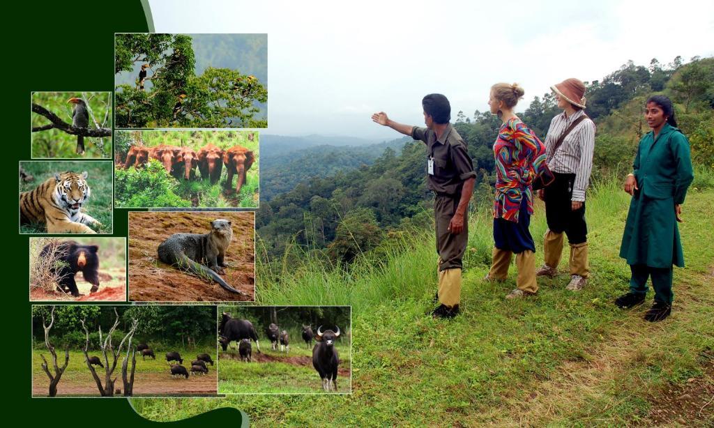 Jungle Park Resorts Thekkady Exterior foto